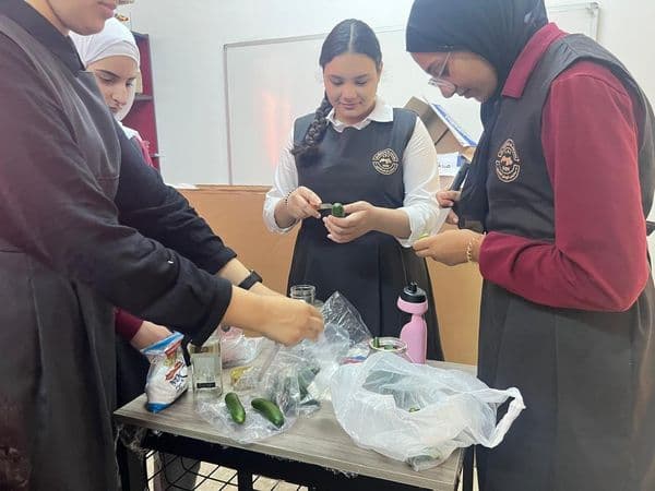 جانب من التطبيق العملي لمادة التربية المهنية