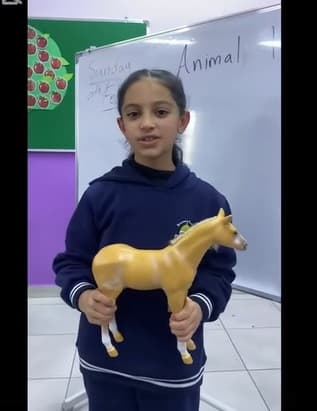 Third grade talked about animal homes 🌲🌴
