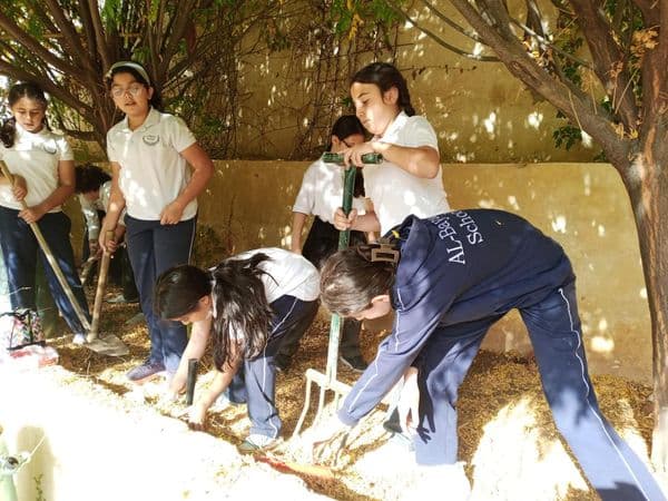 استراتيجية التطبيق العملي لدرس الأدوات اليدوية الزراعية