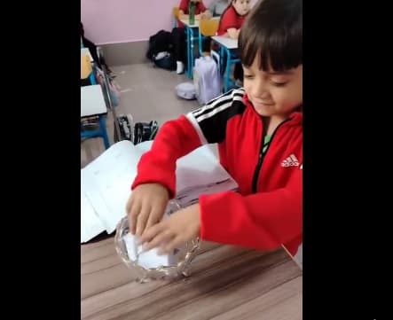 Grade 2 students finding out the differences between fresh water and salty water