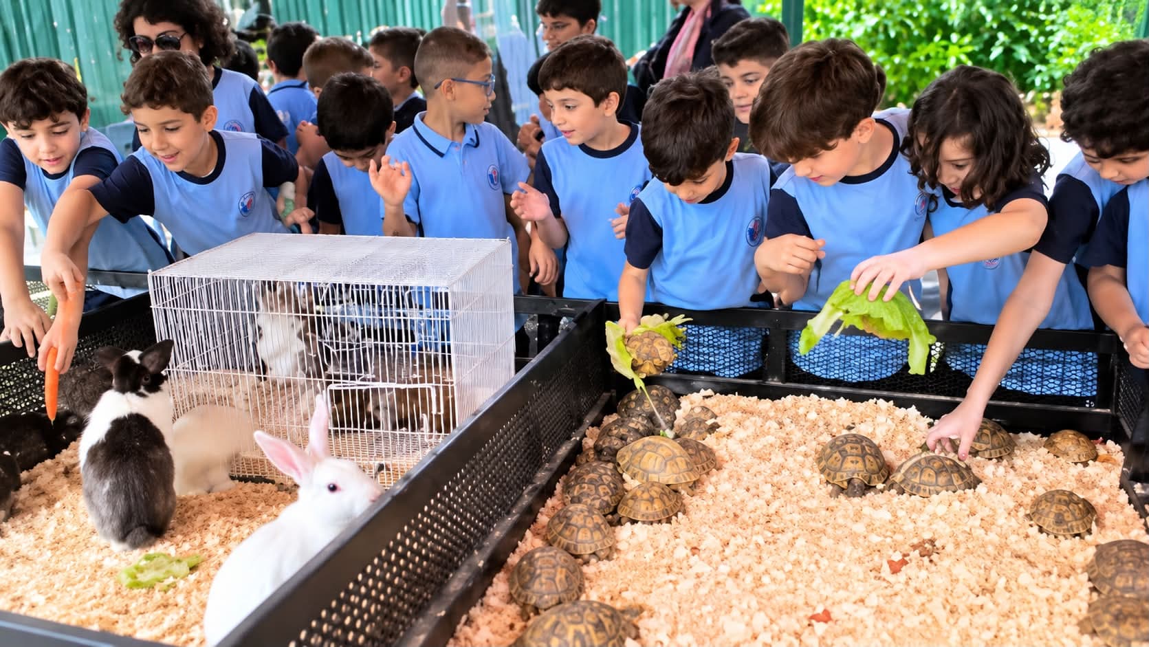 Our students' trip to the Kingdom Interactive Park