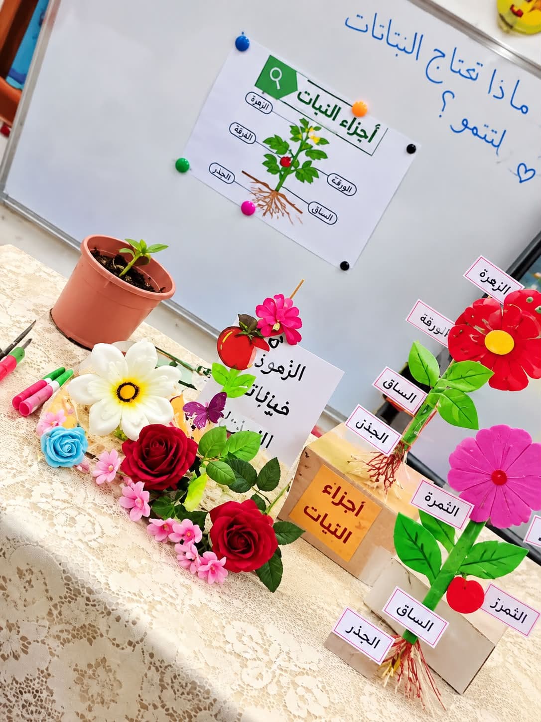 أبدع طلاب الصف الأول ( ج ) في حصة العلوم