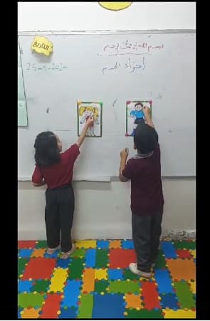 التعرف على أعضاء الجسم  نشاط مميز للأطفال