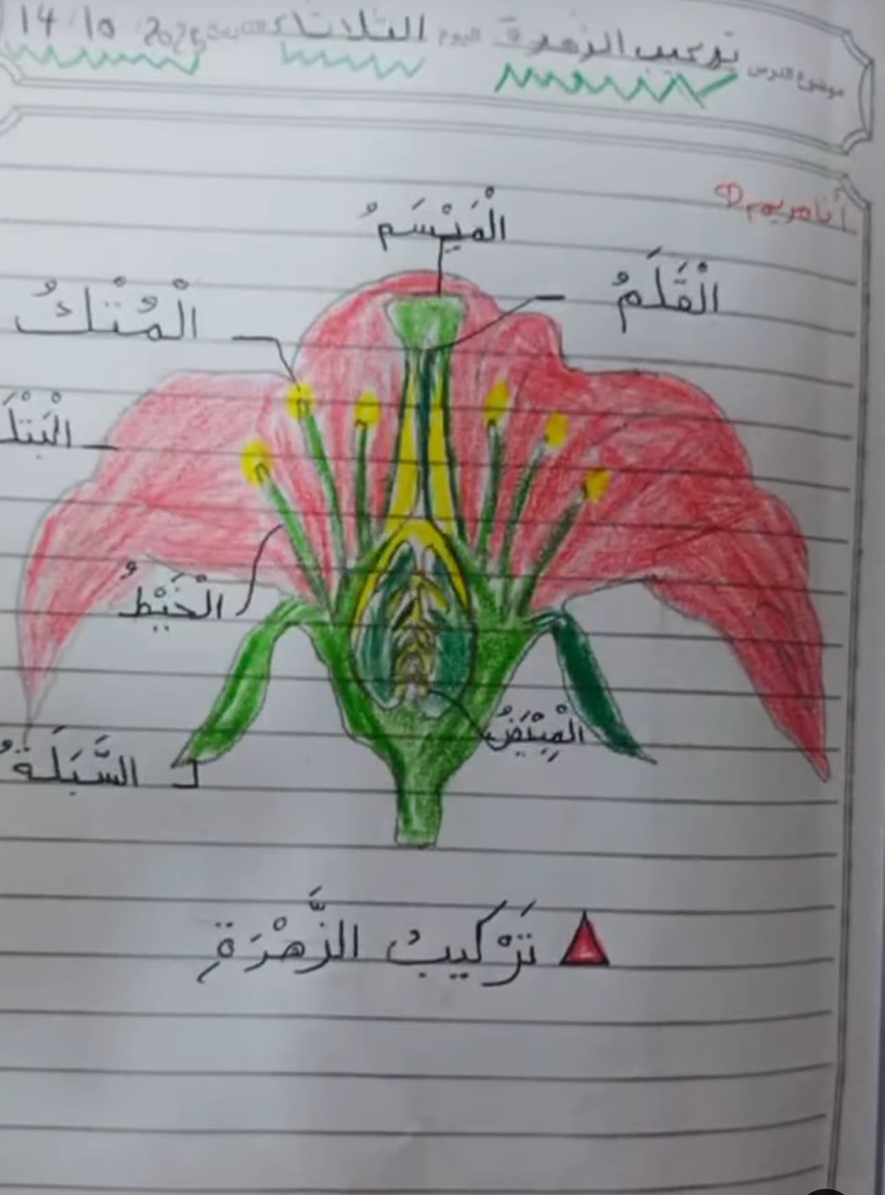 هنا يتلألأ الإبداع بين الدفاتر أنامِل صغيرة... تصنع الجمال في كل صفحة