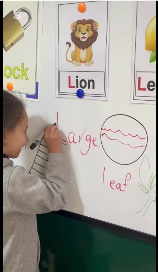 How we introduce Letter (L,l)