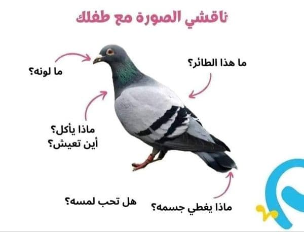 أنشطة لتحفيز الذاكرة لدى الأطفال