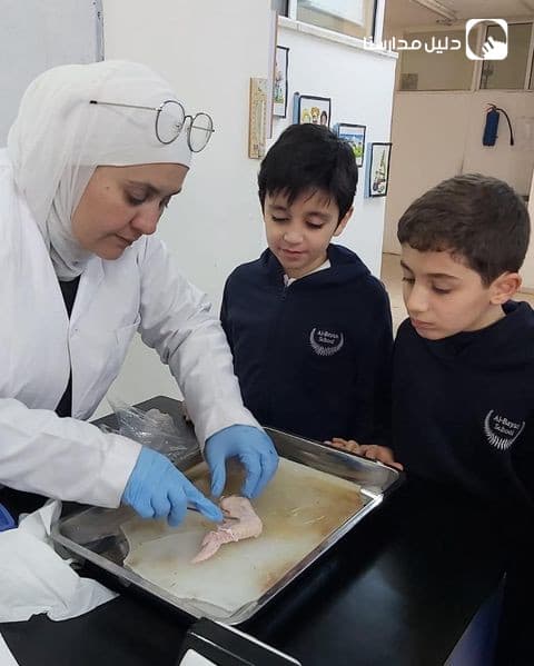 قام الطلاب بتشريح جناج الدجاجة لفهم هياكلها ووظائفها بشكل أفضل