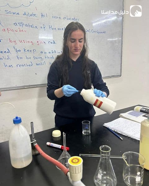 Students prepare a soluble salt by using neutralization reactions