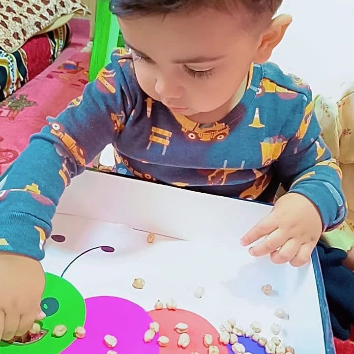 Al Hanan Corner Nursery — 3