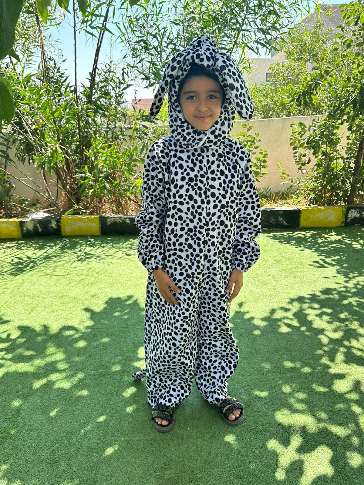 Almazar Educational Kindergarten — 3