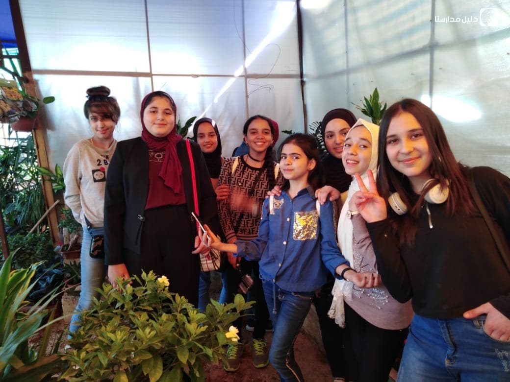 Anwar alshmoo schools