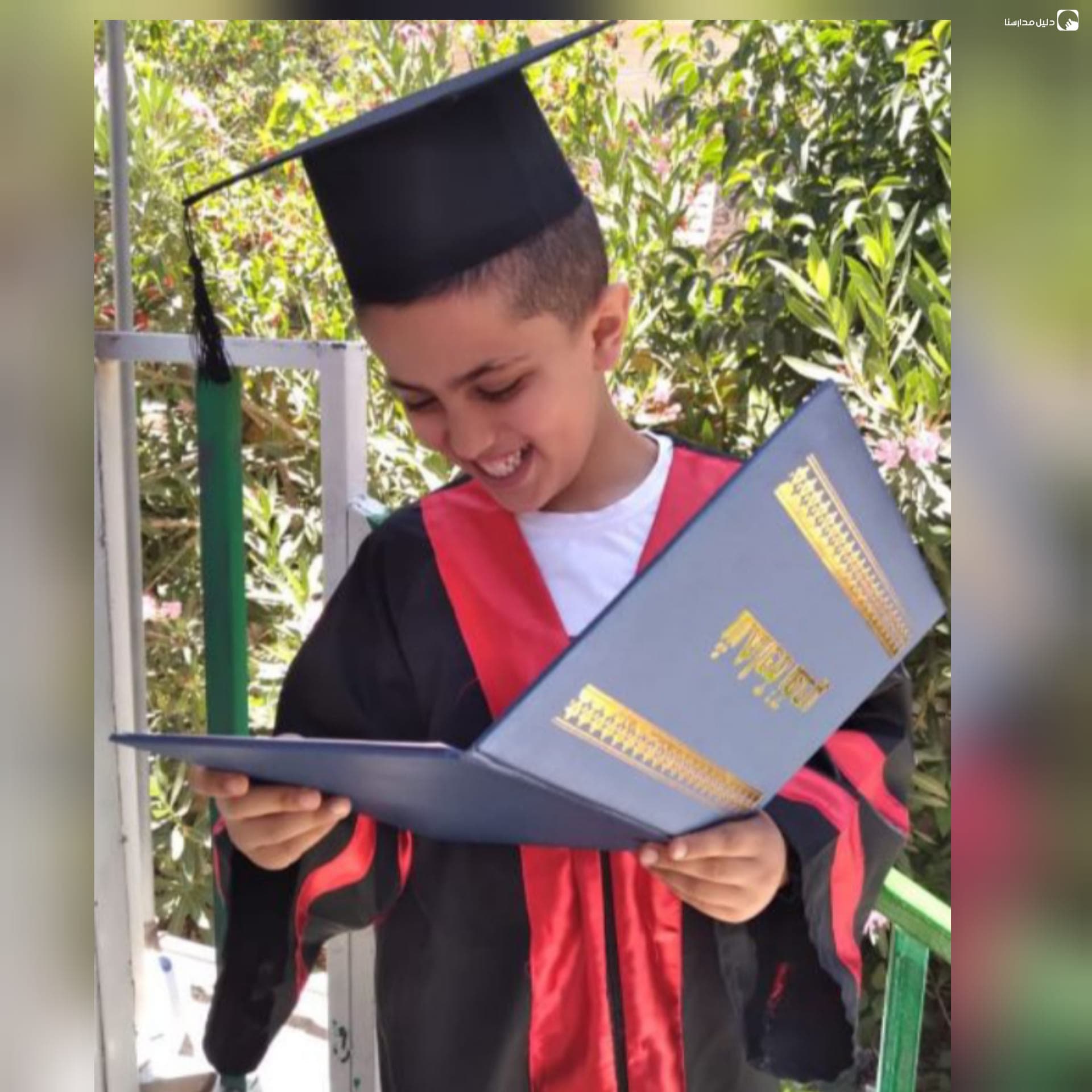 مدرسة ابن النفيس — 2
