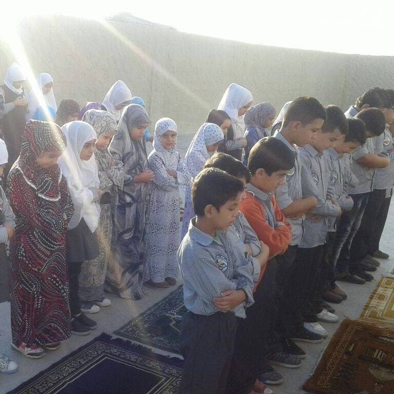 Insan Schoools
