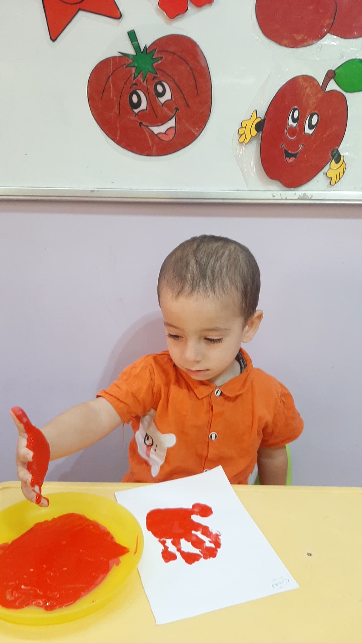 أكاديمية دولفين الصغير — 2