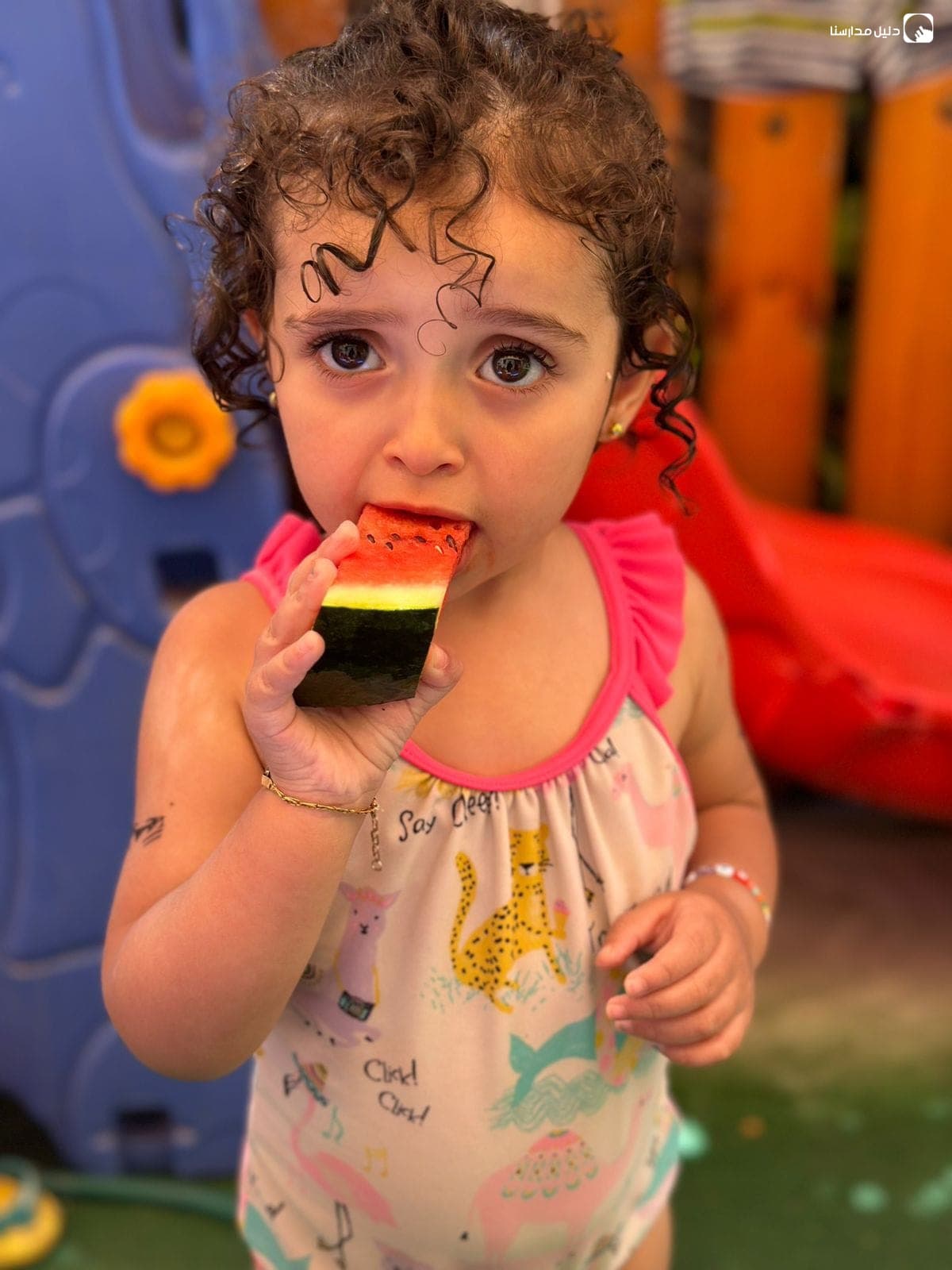 My Garden Preschool