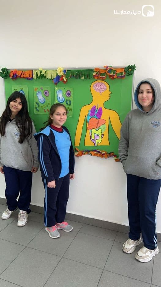 Main human organs project done by grade 6 international
