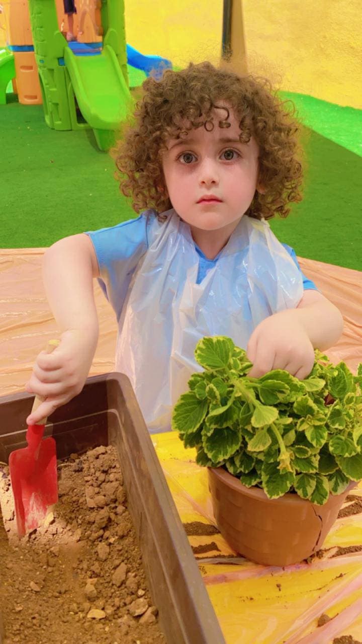 Qandeel Al Sharq Schools — 2