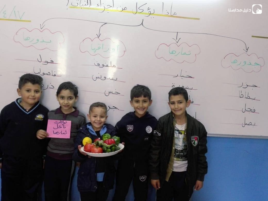 مدرسة أكاديمية ريماس الدولية