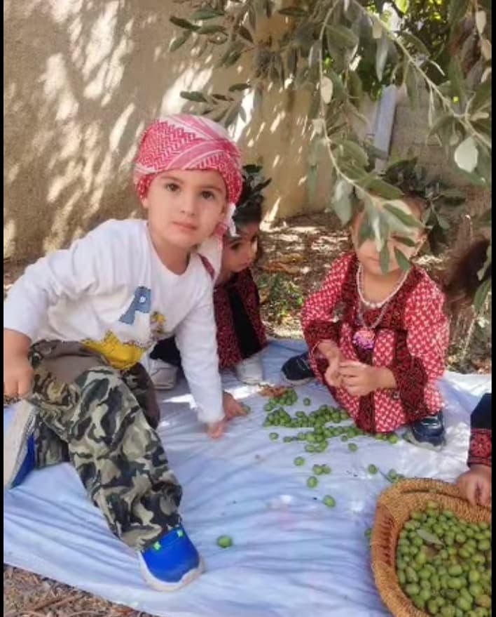 من موسمنا الجميل… موسم الزيتون