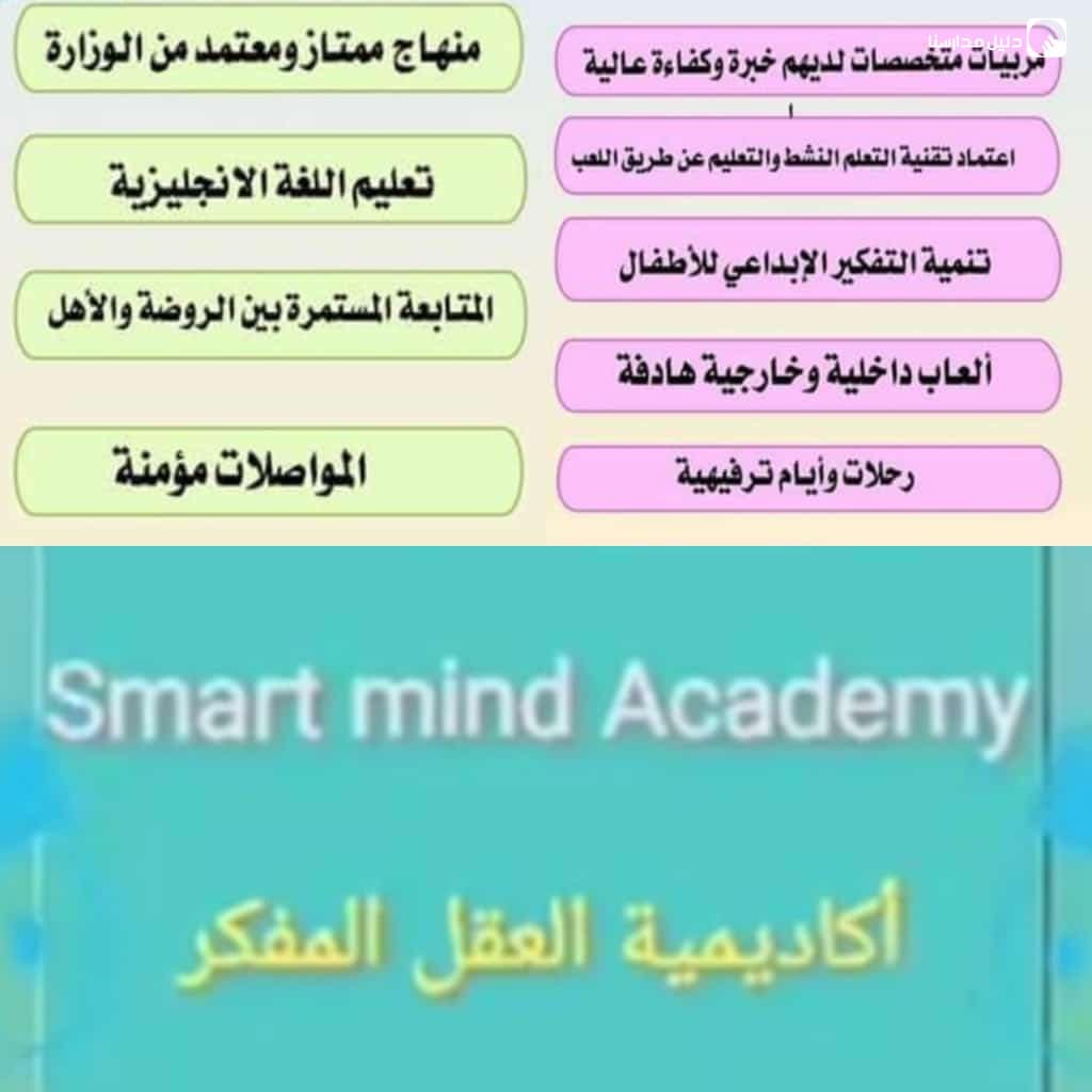 Smart Mind Academy