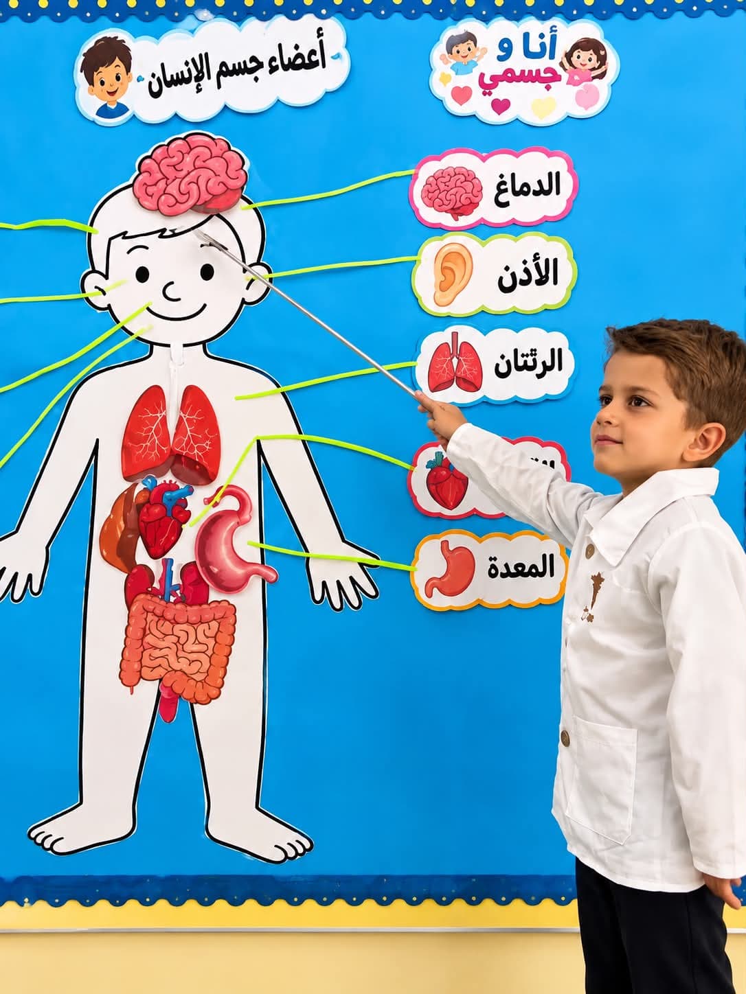 حين يتحول الدرس إلى تجربة… تصبح المعلومة حكاية لا تنسى