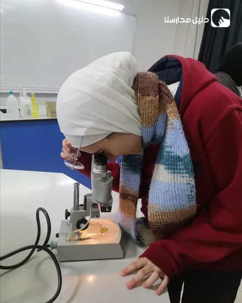 قامت طالبات الصف العاشر بجولة في المدرسة بحثًا عن نبات الفيوناريا
