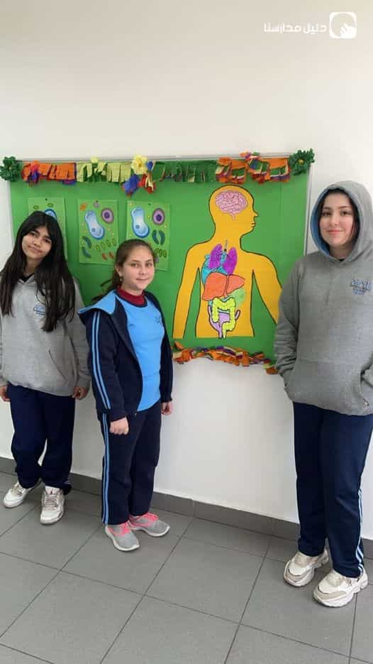 Main human organs project done by grade 6 international